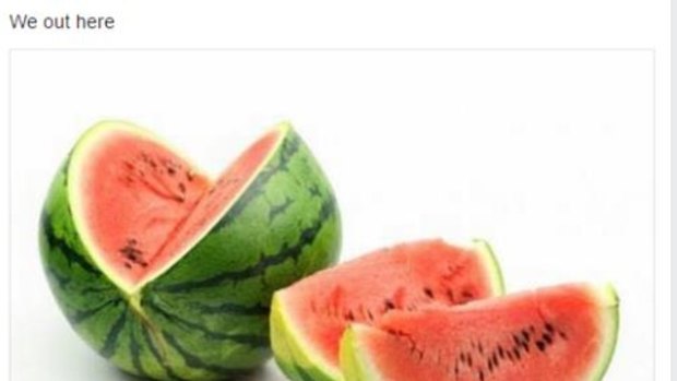 The VCE watermelon inspired many memes 