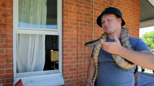 On the slither: Richard Sutton with one of the snakes he saved from his burning house. 