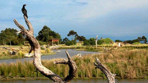 The wetlands around Yarram.