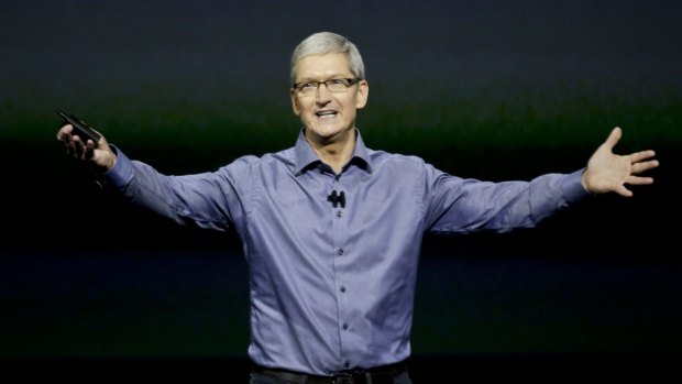 A rare, but self-interested, warrior: Apple CEO Tim Cook.