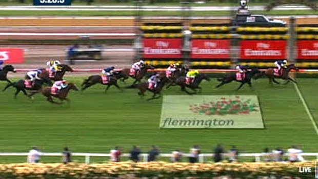 Chance of repeat? Green Moon wins last year's Melbourne Cup.