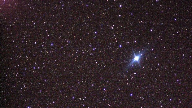 Get down: Canopus, the second-brightest star in the sky, is heading directly to the horizon in Melbourne.