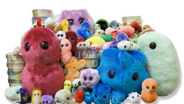Popular ... assorted soft toys from GIANTmicrobes.