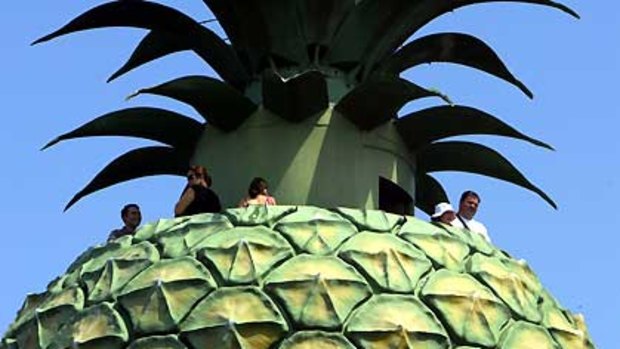 Big honour ... Queensland's Big Pineapple has been given heritage status.