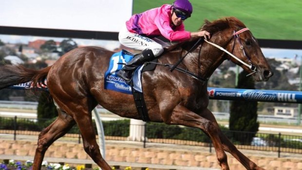 Not so dreadful: Caulfield Guineas favourite Rich Enuff scores at Moonee Valley.