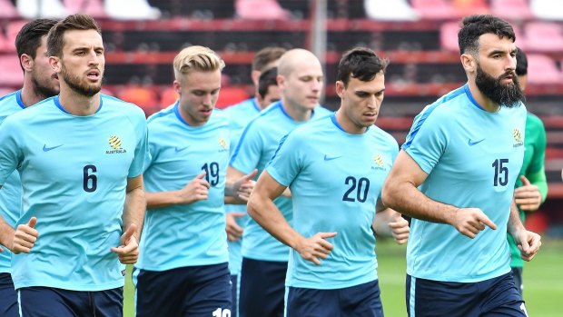 A boutique stadium in south-west Sydney could become a permanent training base for the Socceroos.