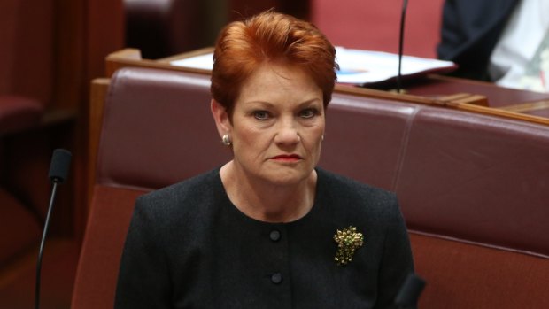 Students with disabilities are putting a strain on teachers and schools, Pauline Hanson has told Parliament.