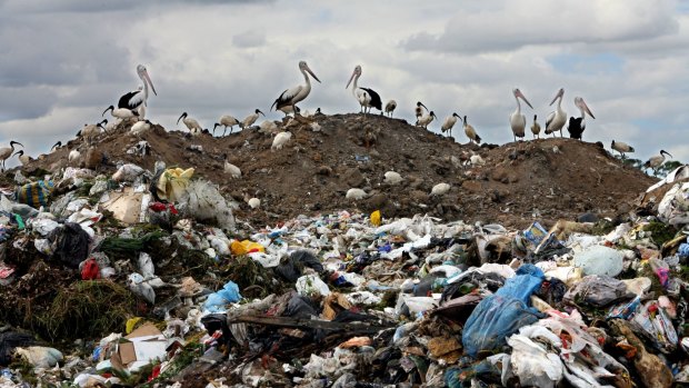 Transpacific took in $269million in charges from its landfill assets.