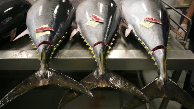 Tuna fishing; a lifeline for Pacific nations?
