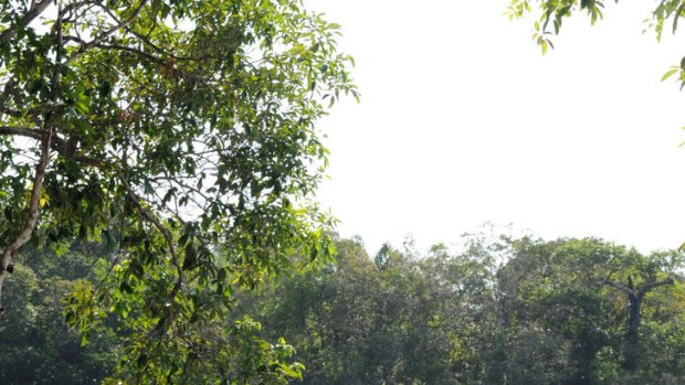 Google team members set a 360-degree camera system mounted on a Trike atop a boat to record the "Street View for the Amazon" on the Negro River, around Tumbira Community, Amazonas State.