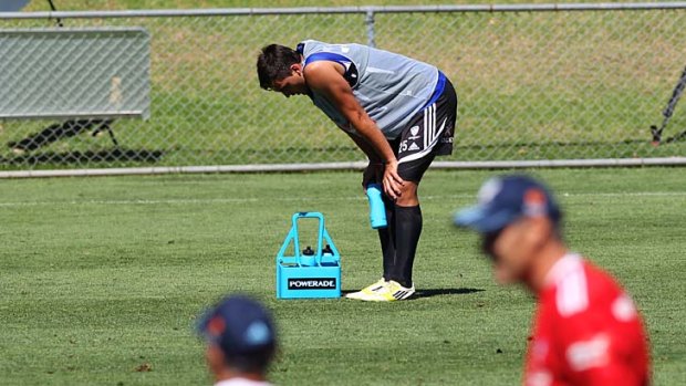 Tough going &#8230; Sydney FC players felt the pain during new coach Frank Farina's first training session.