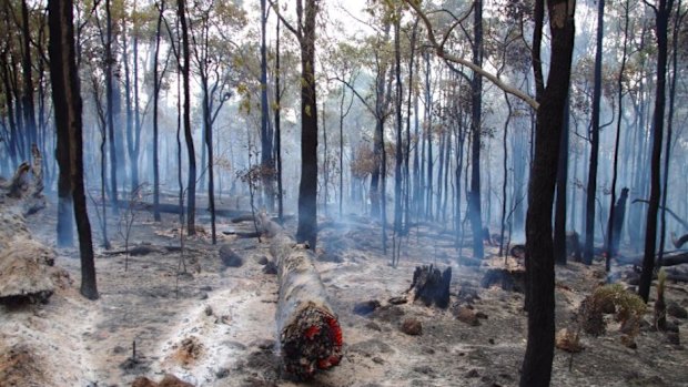 David Sonter's business burnt to the ground but he says "the gloves come off in a good way" between businesses which are usually rivals.