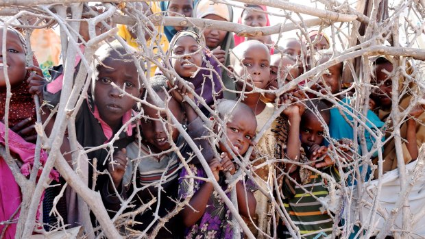 Crowded house: Children gather behind thorny bushes used as fencing inside the Dadaab camp.