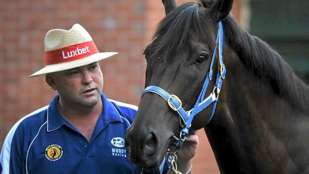 Happy days ... Peter Moody and Black Caviar at Caufield on Thursday.