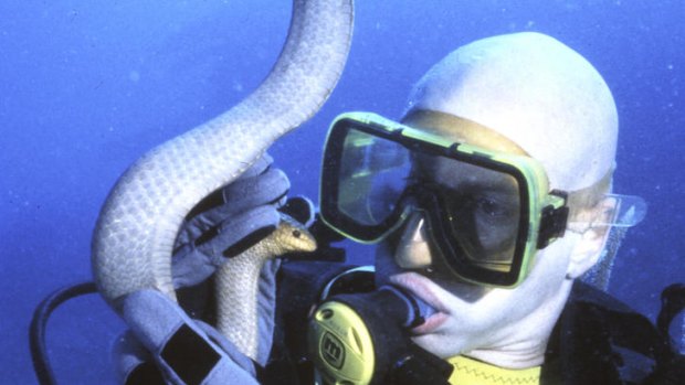 Professor Bryan Fry with an olive sea snake on the Great Barrier Reef.