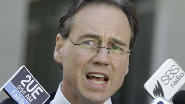 Environment Minister Greg Hunt again raised the prospect of a double dissolution over the carbon tax on Monday.