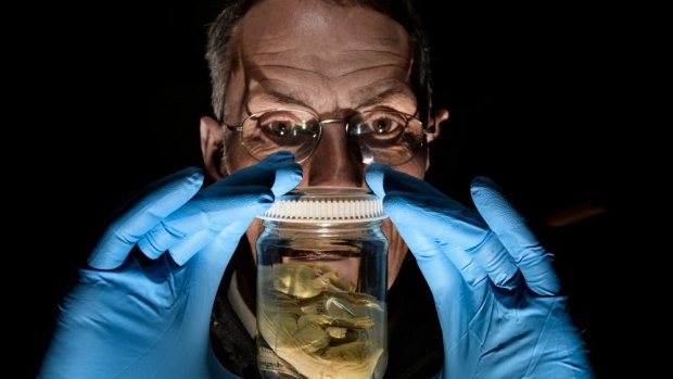 Melbourne Museum will open a biobank next year to store reproductive material. Dr Mark Norman is pictured with a Tasmanian Tiger embryo.
