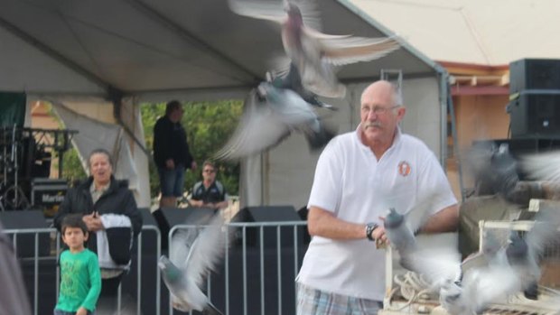 Ian says he is still mystified as to what happened to many of  the pigeons released in Leonora who went missing en-route to Geraldton. 