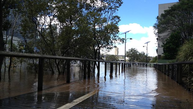 The bike path outside GOMA under water in January this year.