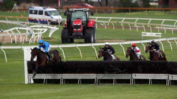 Palmero on his way to winning the Brierly Steeplechase at Warrnambool on Tuesday. 