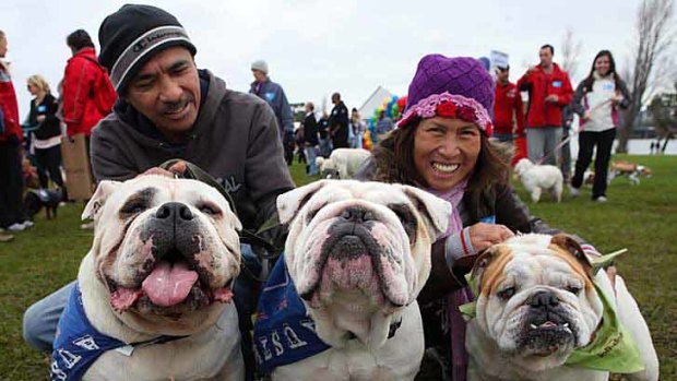 Putting their best paws forward are Ben and Cora Urzabia with their Australian bulldogs.