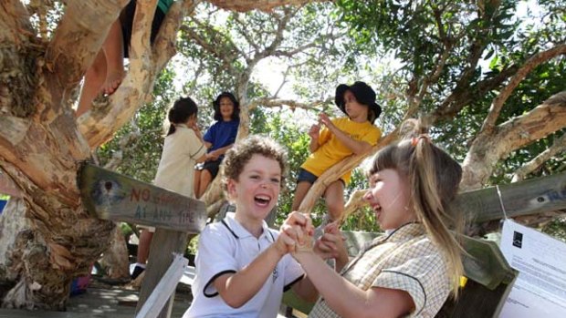 Stumbling block ... Kiera Bird,  front left, and Lucas Coffey,  in white T-shirt, play with friends in the controversial Bondi treehouse.