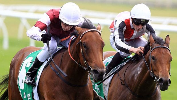 Flying the flag: Jason Collett rides Occitan to a win in the first race at Randwick on Saturday.