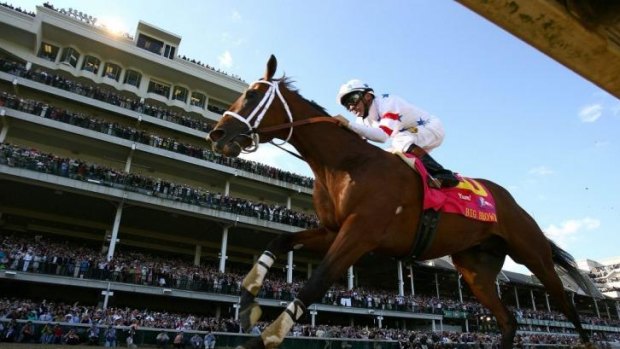 Good pedigree: Russet’s sire Big Brown takes the Kentucky Derby six years ago.