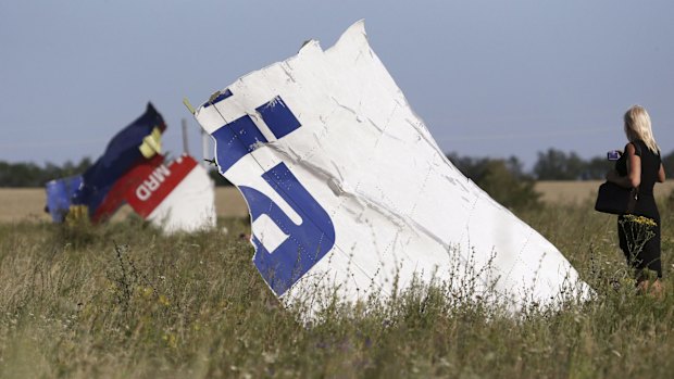 "The challenge is to close the specific gap or gaps that allowed this tragedy to happen.”: IATA CEO Tony Tyler.