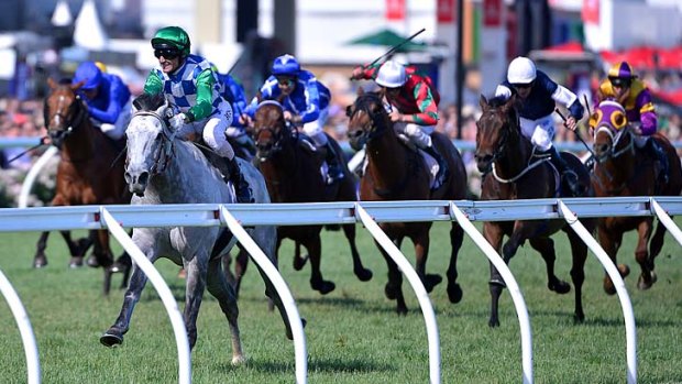 Grey power: Puissance De Lune races into 2013 Melbourne Cup contention by streeting his rivals in the Queen Elizabeth Stakes.