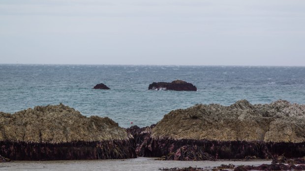 Ward Beach Rocks have risen considerably since the 7.5 earthquake. 