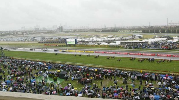 2004 Melbourne Cup. Yes, it was great that the great mare Makybe Diva won. But who is that third from right, running third... Mummify? No it's Zazzman! At 100-1.