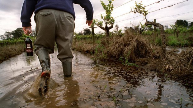 Flooding of vineyards was widespread in NSW and Victoria and affected the harvest.