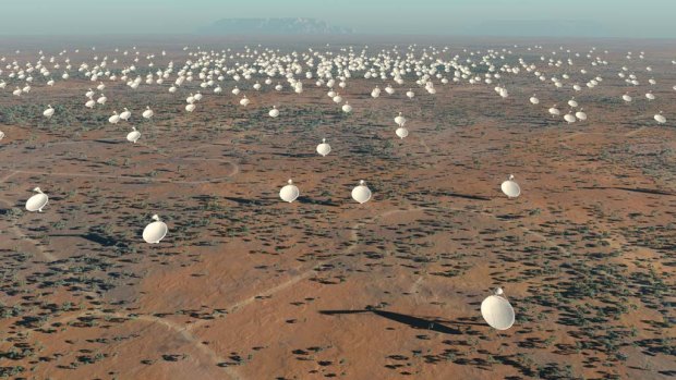 An artist's impression of the dishes that will make up the Square Kilometre Array radio telescope