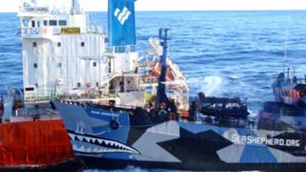 Sea Shepherd ship Bob Barker colliding with the Japanese fuel tanker the Sun Laurel off Antarctica.