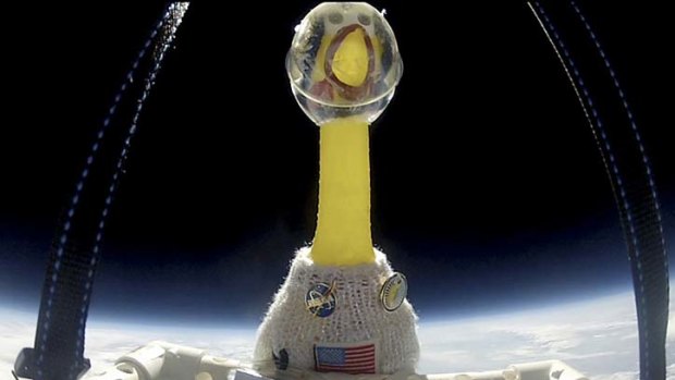 Camilla the rubber chicken is seen at over 36,576 m above California in this NASA handout still.