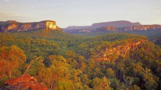 Rich tones in the national park.