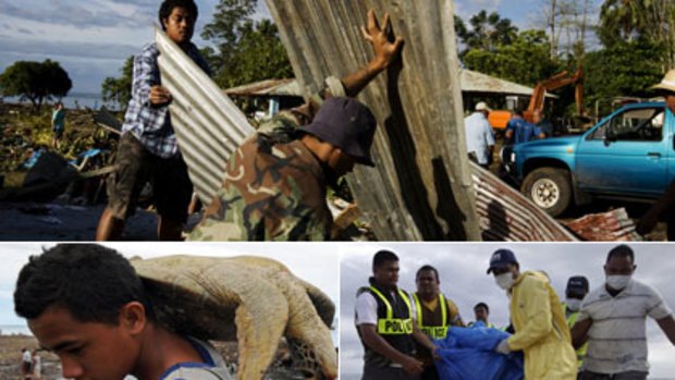 (Clockwise) Teddy bears in the debris...villagers in Poutasi cleaned up as the Samoan Prime Minister inspected the devastation, Samoan police carry a body from the water near Matavai, Kurt Finatalo carries a sea turtle that was washed onto the road.
