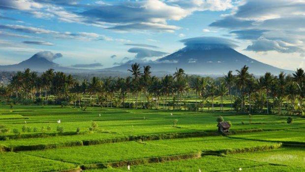Rich tapestry: the volcanic Mount Agung looms large on the horizon.