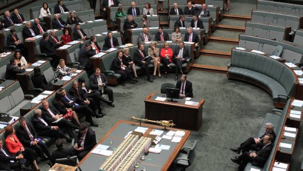 The opposition and the government vote together against a Greens amendment supported by Adam Bandt and Andrew Wilkie. Photo: Andrew Meares