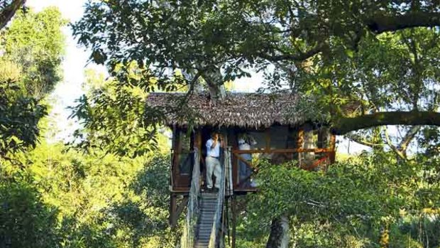 Cabin in the sky ... the Inkaterra Canopy Tree House.