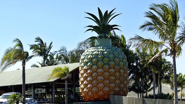 The Big Pineapple, in Nambour, Qeensland.