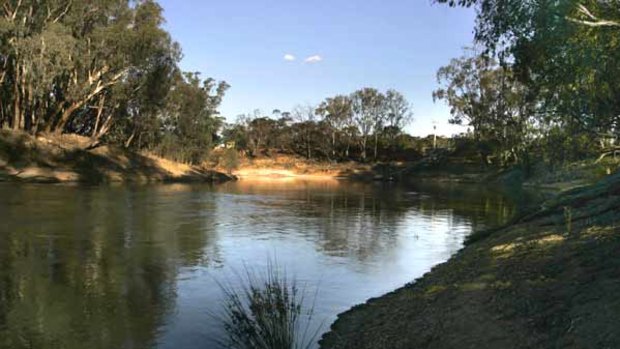 This photograph of the Murray River, at one of its narrowest points, known as Drought, Bitch and Puppies Bend, was taken in November last year.