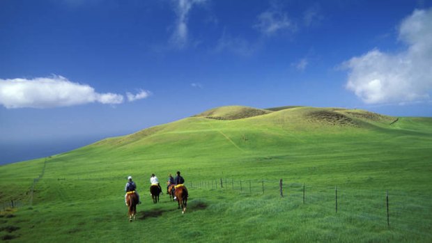 Horseback riders on Kohala Mountain, near Mauna Kea volcano.