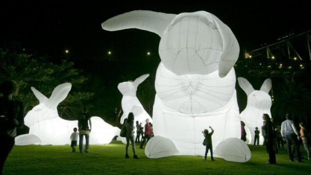 The Giant inflatable rabbits are bound for the Perth foreshore.