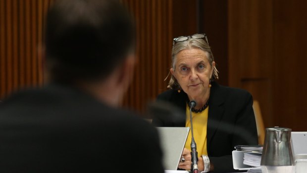 Greens Senator Lee Rhiannon says she is "collateral damage".