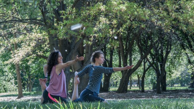 Ela Ozdemir and Inks Stormi do yoga among the fluff in Bowen Park, Kingston. 