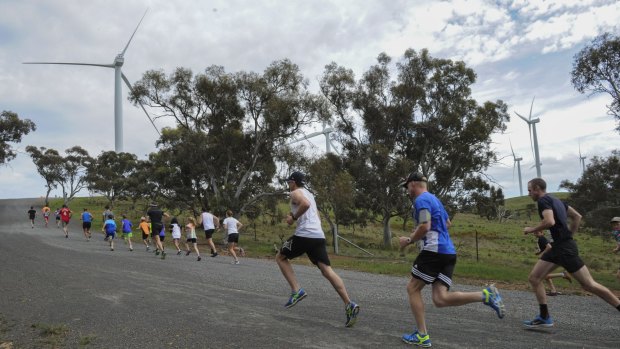 Participants could choose between a five or 10 kilometre run. 