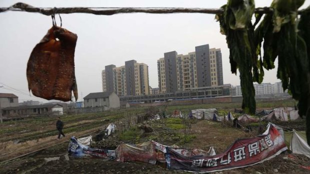 Going ... a resident walks past a vegetable patch in a village that will soon be demolished, on the outskirts of Jiaxing city, Zhejiang province.