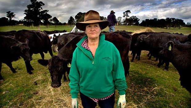 Lea Worseldine feeds livestock with husband Barry at their Mount Taylor cattle farm, started through a Banksia Securities loan.